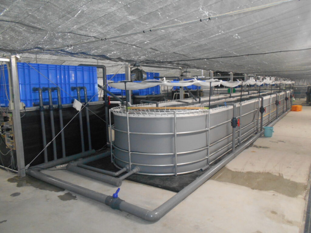 低コストの水槽・移動可能な水槽を使いたい｜未来のアグリ株式会社
